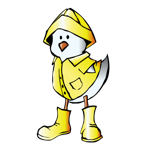 Baby Chick wearing a Raincoat